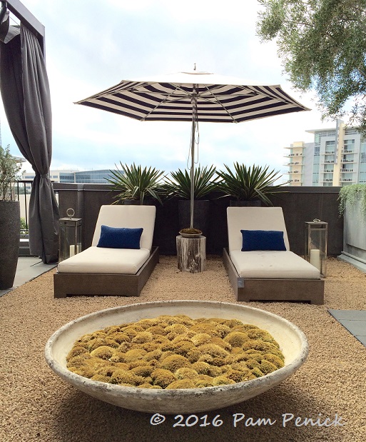 RH Austin rooftop garden showcases contemporary outdoor furniture .