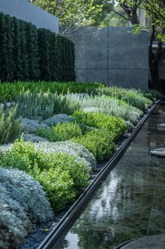 810 Contemporary Gardens ideas in 2024 | garden design, outdoor .