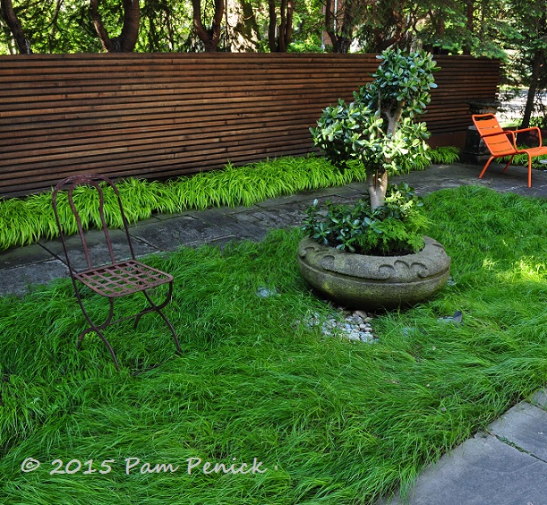 Simple lines, big impact in Forest Hill contemporary garden .