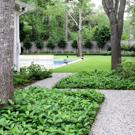 Hedwig Contemporary Gardens Hedwig Village, Houston | Moss Landscapi