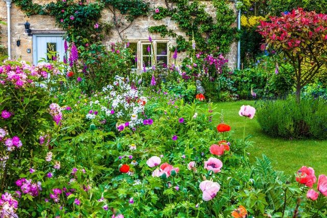 How to grow a cottage gard