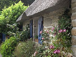 Cottage garden - Wikiped