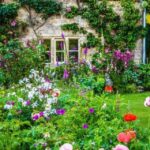 How to grow a cottage gard