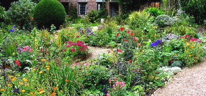 Cottage Garden Perennials - Midwest Gardeni