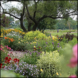 Garden Design | Stone Cottage Gardens | Landsca