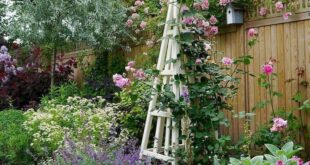 Embrace the Charm of Small Cottage Gardens for Beautiful Backyar