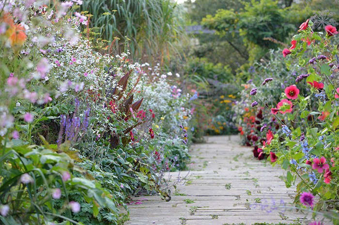 The Charm of Cottage Gardens: A Look at the History and Design Principles