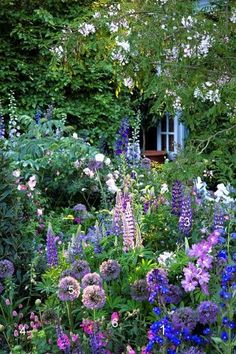 620 Cottage Gardens ideas | cottage garden, beautiful gardens .