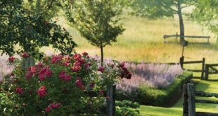 30 Charming Country Gardens To Inspire Your Own | Country garden .