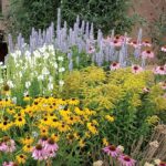 Summer Dreams Pre-Planned Garden | High Country Garde