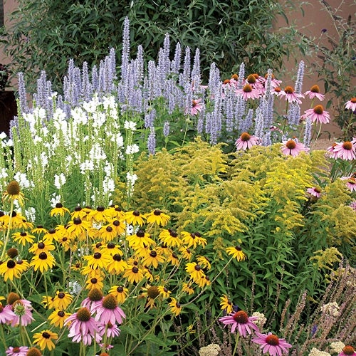 Summer Dreams Pre-Planned Garden | High Country Garde