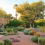 75 Desert Landscaping Ideas You'll Love - April, 2024 | Hou