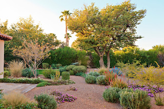 75 Desert Landscaping Ideas You'll Love - April, 2024 | Hou