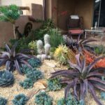 75 Desert Landscaping Ideas You'll Love - April, 2024 | Hou