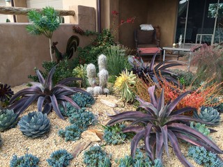 75 Desert Landscaping Ideas You'll Love - April, 2024 | Hou