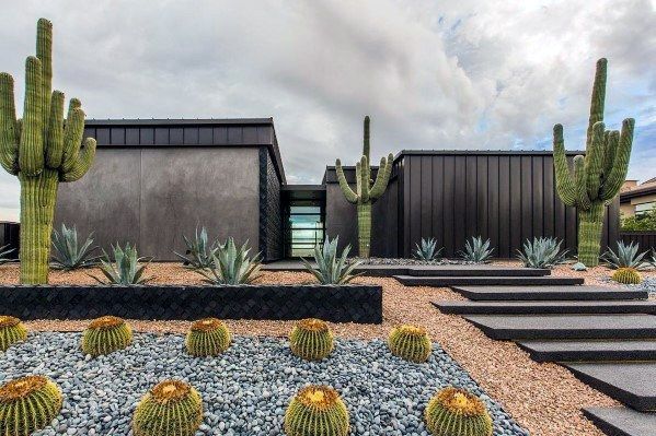 61 Unique Desert Landscaping Ideas for Every Style | Desert .