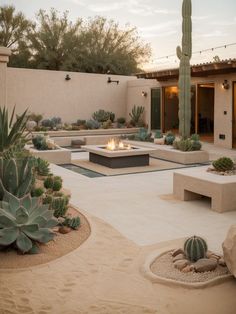 900+ Best Desert Landscape ideas in 2024 | garden design, desert .