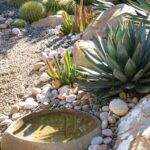 900+ Best Desert Landscape ideas in 2024 | garden design, desert .