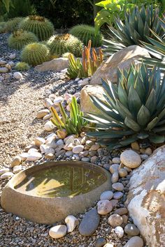 900+ Best Desert Landscape ideas in 2024 | garden design, desert .