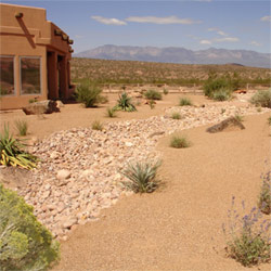 Desert Landscaping is Low Maintenance | Eagle Creek Landscap