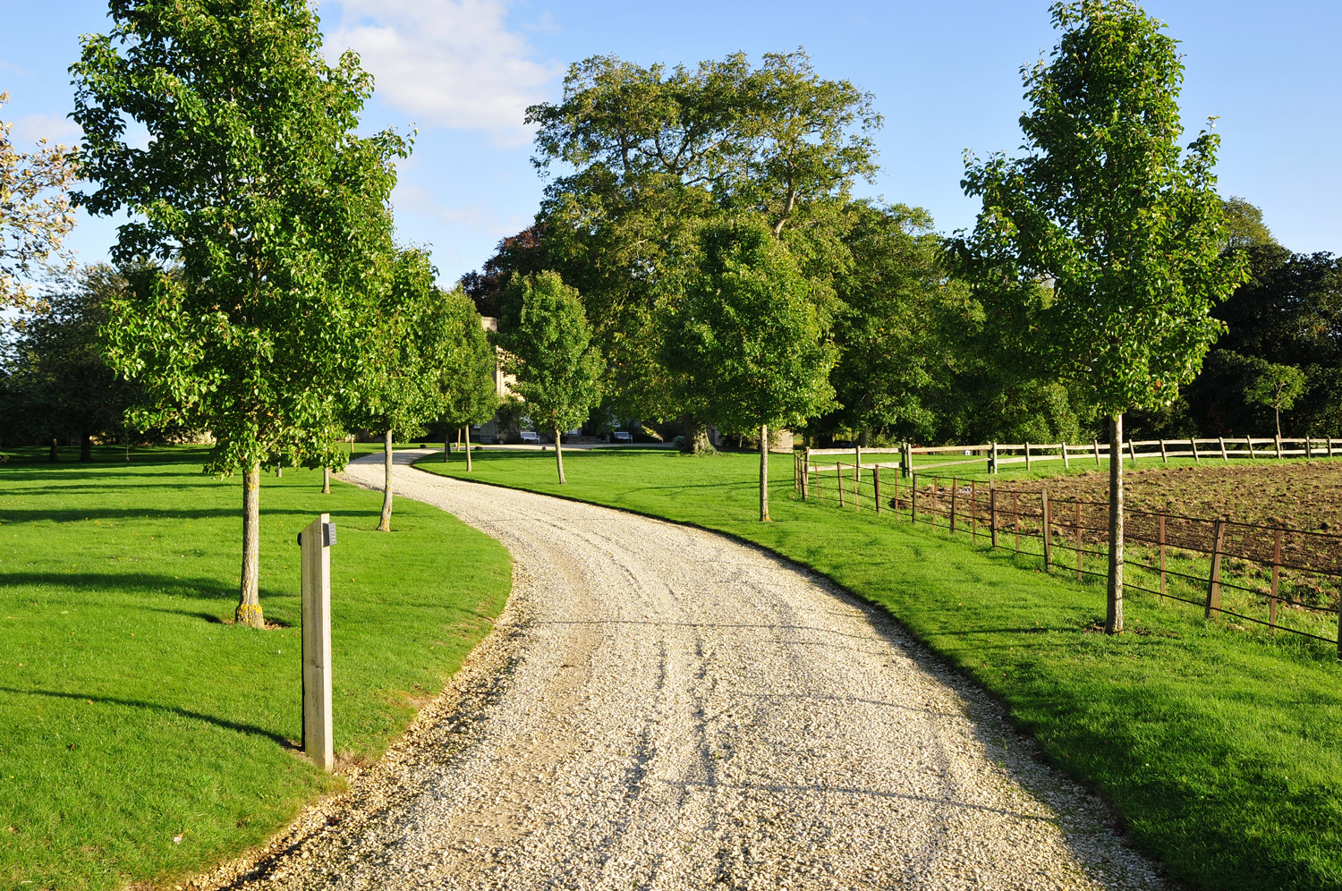 Creative Ideas for Driveway Edging