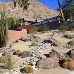 Ask the Contractor: Things To Know About Drought-Tolerant .