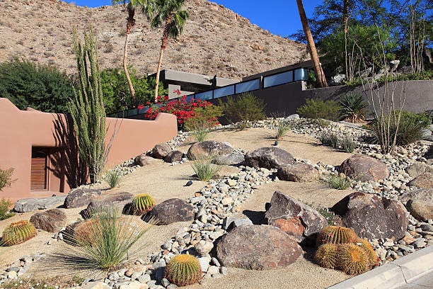 Ask the Contractor: Things To Know About Drought-Tolerant .