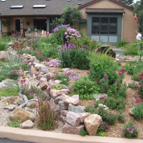 Drought Tolerant Landscaping Ideas - modlar.c