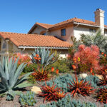 Drought Tolerant Landscaping - The Home Dep