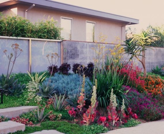 drought resistant landscapes | Drought tolerant garden, Drought .