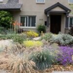 drought resistant landscapes | Drought resistant landscaping .