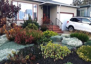 Drought-Tolerant Landscaping Saves Money and Wat