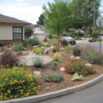 Drought Tolerant Landscaping - City of Redlan