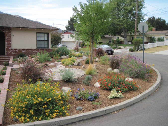 Drought Tolerant Landscaping - City of Redlan