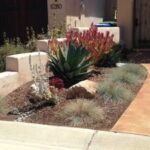 5 Low Water Plants to Incorporate in Your San Luis Obispo .