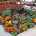 Drought Tolerant Landscaping - City of Redlan