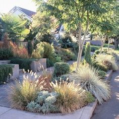 30 California Landscape DREAM ideas | drought tolerant landscape .