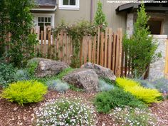 160 Drought Tolerant Landscaping Ideas | xeriscape, garden design .