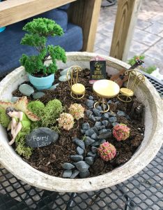 DIY Small Fairy Garden in a Pot - Organize by Drea