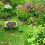 Easy Landscaping Ideas For Your Yard – Forbes Ho