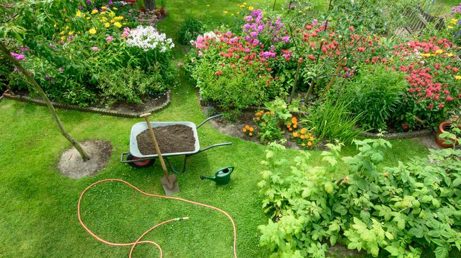 Easy Landscaping Ideas For Your Yard – Forbes Ho