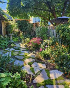 900+ G A R D E N ideas in 2024 | outdoor gardens, garden .