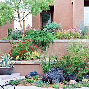 Easy-Care Desert Landscaping Ideas | Desert landscaping, Easy .