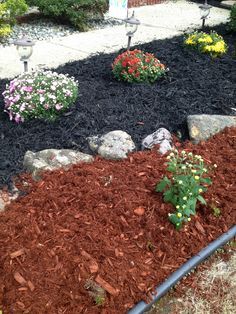 red mulch landscaping ideas | Mulch landscaping, Easy landscaping .