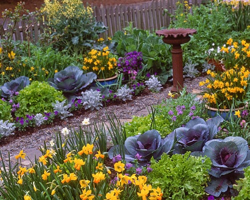 How to Create a Beautiful and Functional Edible Landscape