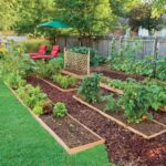 Edible Landscaping: How to Eat Your Ya