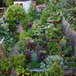 110 Edible Landscaping ideas | veggie garden, edible garden .
