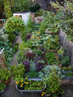 110 Edible Landscaping ideas | veggie garden, edible garden .