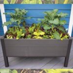 Frame It All™ Elevated Garden Bed - 24"W x 25"H x 48"L - Growers .