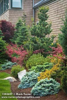 48 Modern landscaping evergreens and rocks ideas | modern .